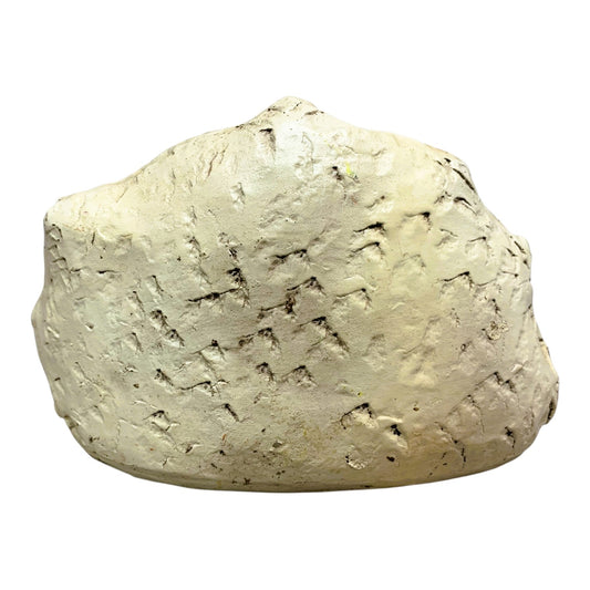 20676 - Buy One Get One Free Bird and Flower Stone Garden Decor 7" |14-35|