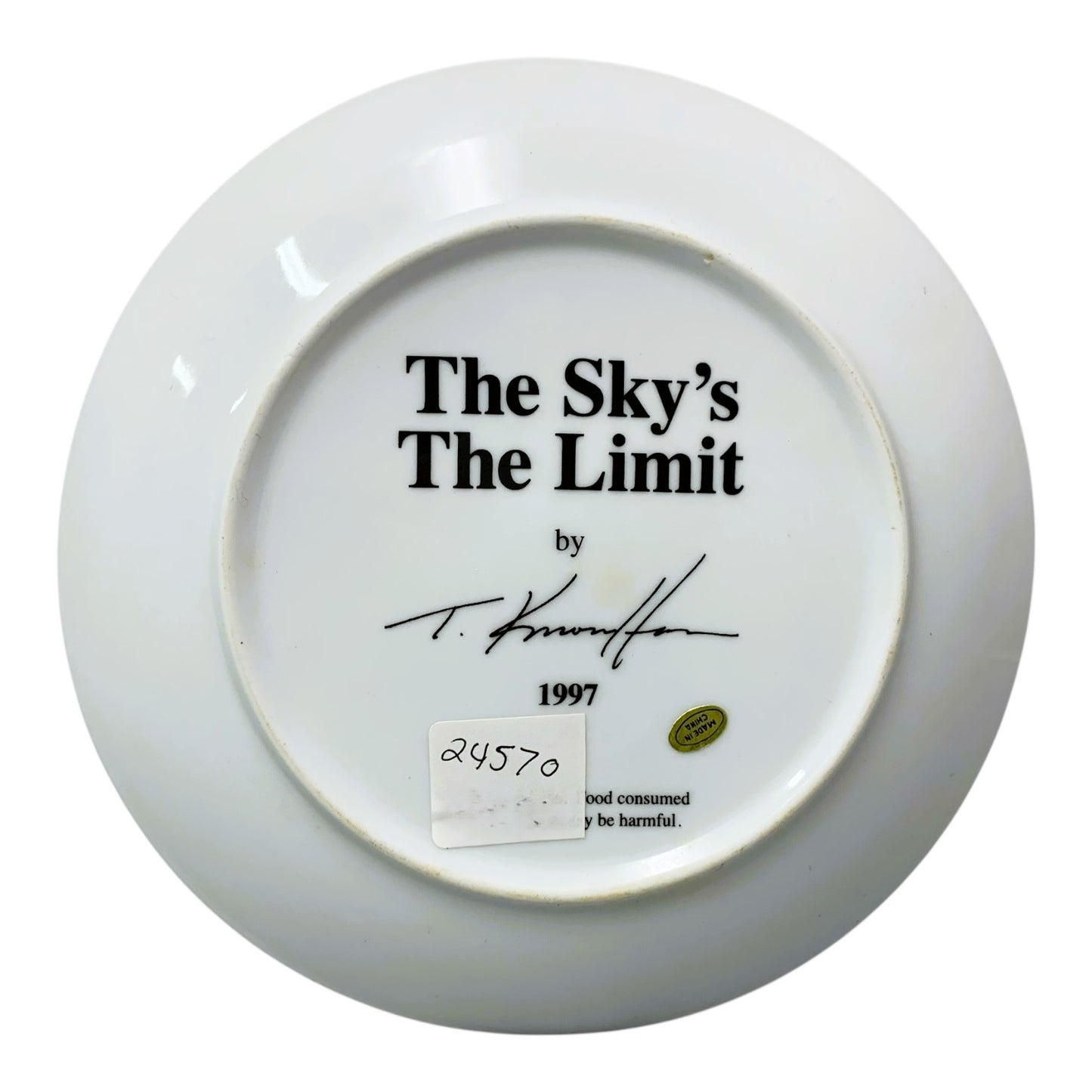 24570 - The Sky's the Limit Porcelain Plate 8" 1997 |10-15|