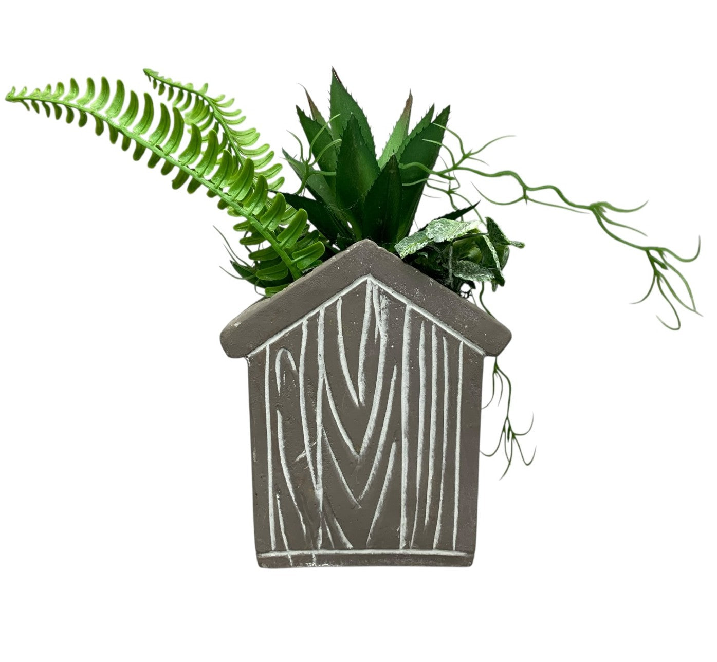 26144 - 7" Grey Bird House Succulent |19-23|