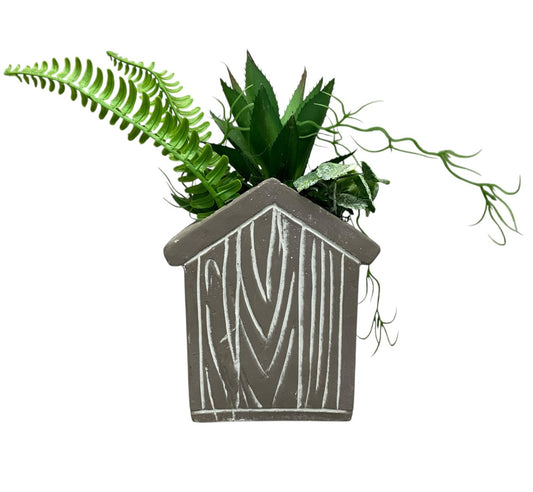 26144 - 7" Grey Bird House Succulent |19-23|
