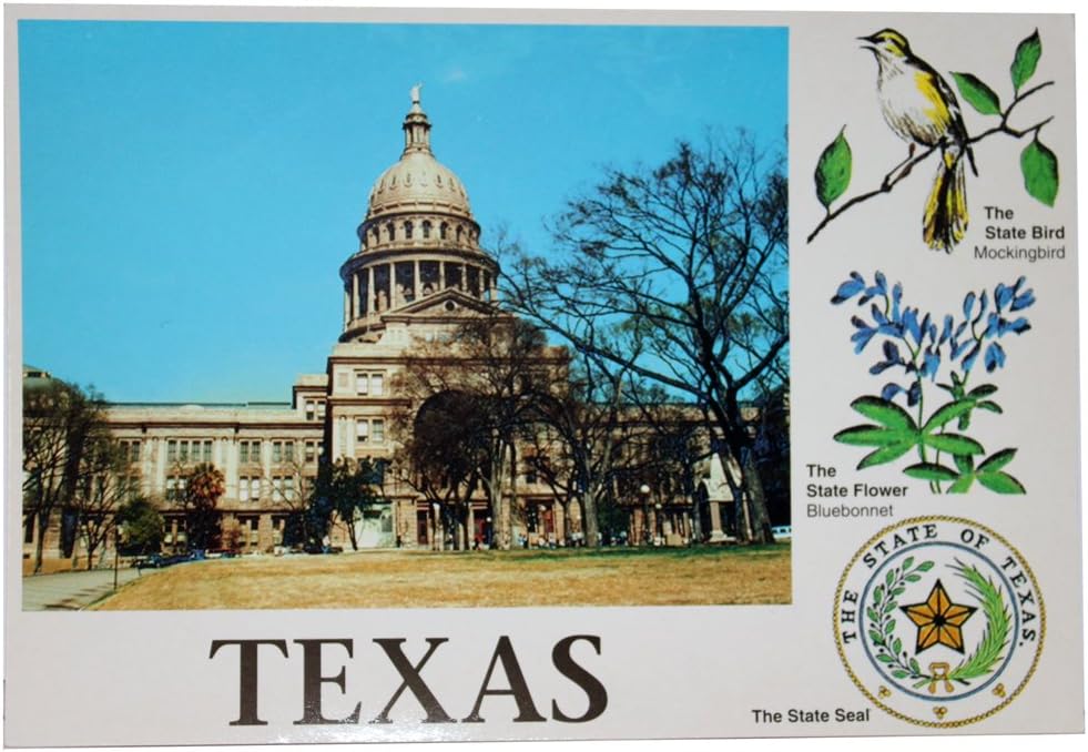 14762 - Authentic Texas State Capital Postcard for Office Stationery and Paper Products |S-10|