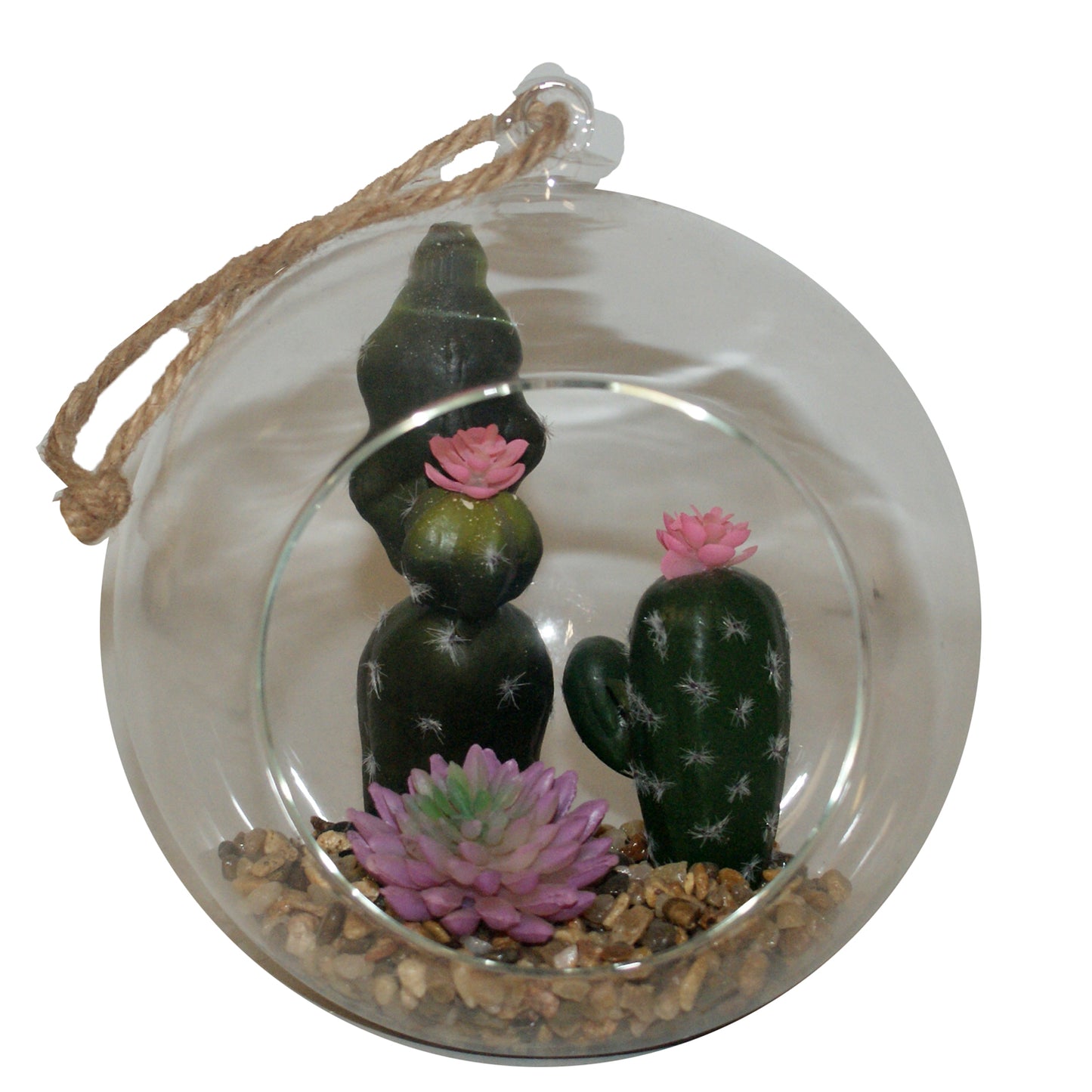 1573 - 6.5" Hanging Succulent Globe #1 |17-19|