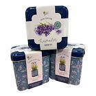 19658 - High-Quality Lavender Herb Grow Kit, 3-Pack Set for Easy Home Gardening |7-8|