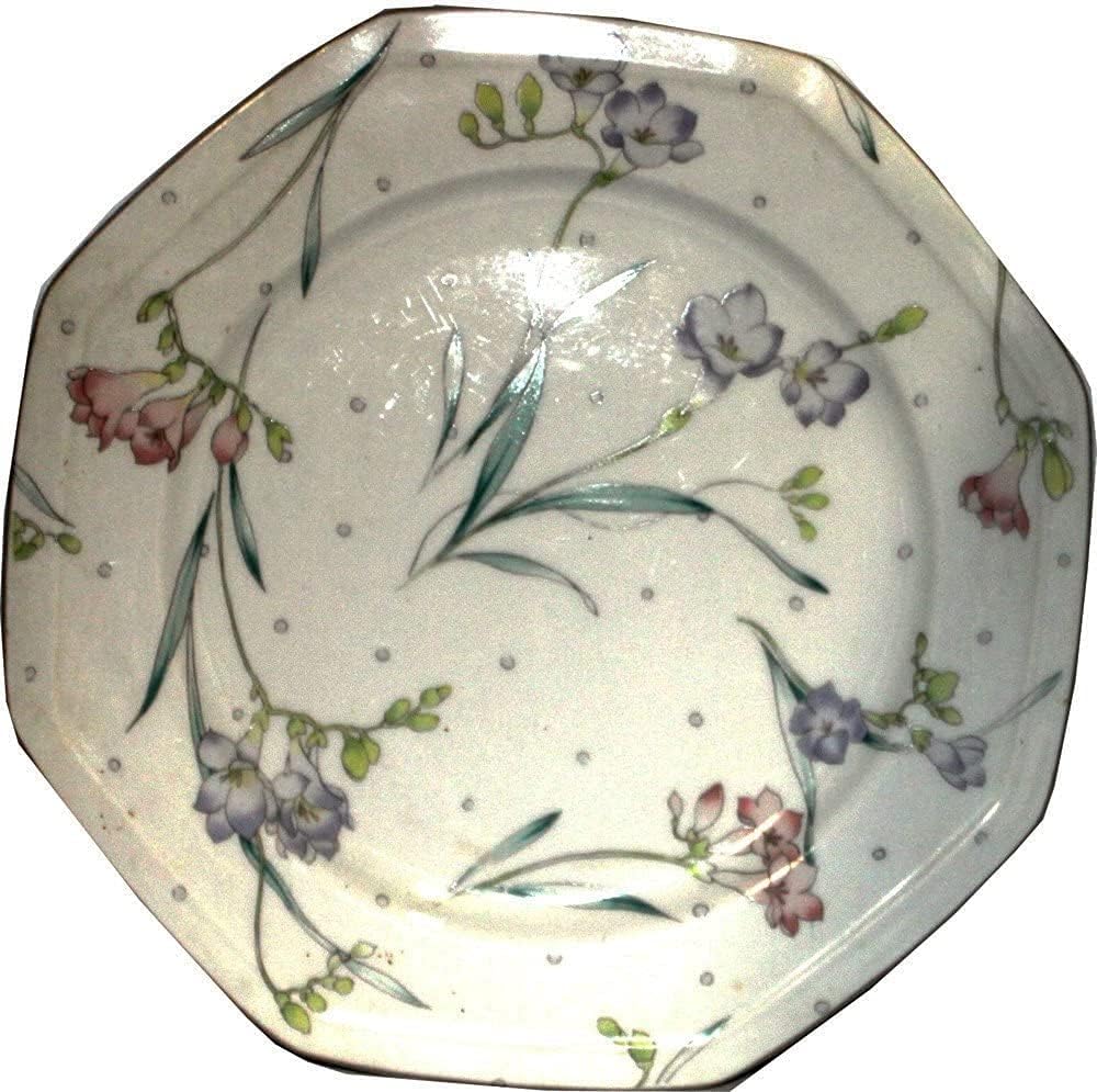 19982 - 10" Dinner Plate Fresh As Spring Set of 2 - |D-22|