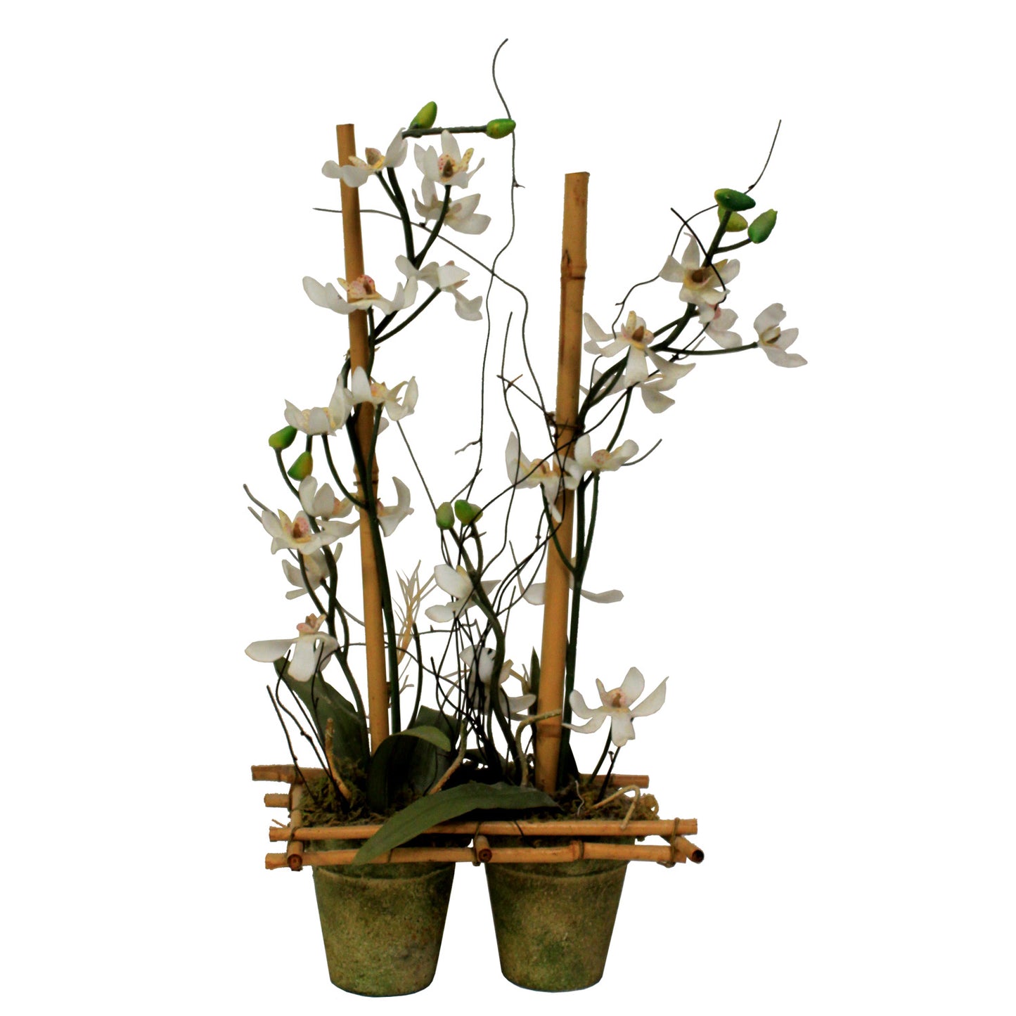 21887 - 16-Inch Two-Pot White Cherry Bloom |9-13|
