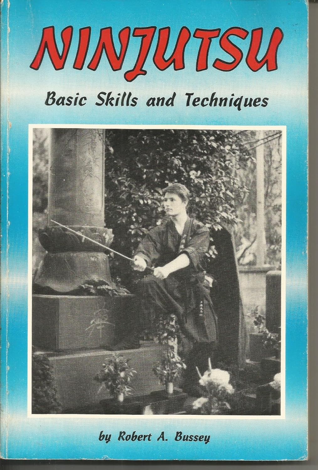 2285 - Ninjitsu : Basic Skills & Techniques By Robert A Bussey