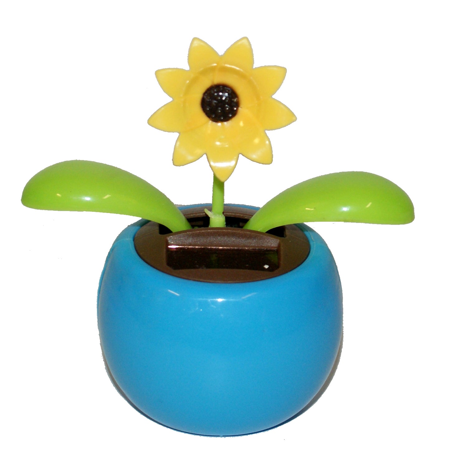 2295 - Solar Yellow Flower Blue Pot - |Pod 1-3|