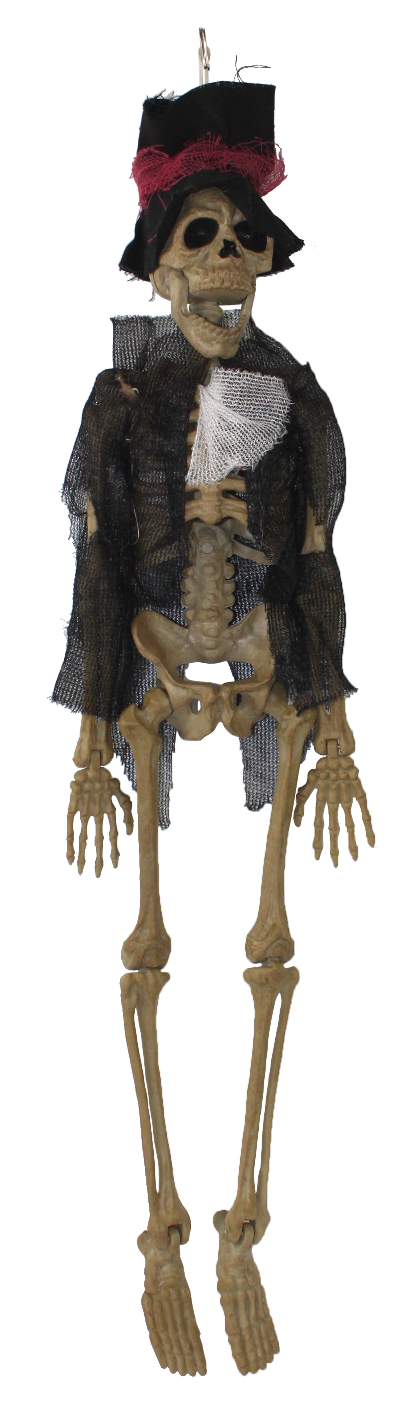 24603 - 15" Groom Skeleton |Pod 1-2|