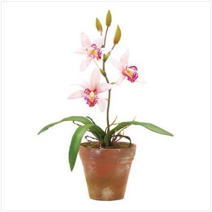 2477 - 10" Faux Pink Orchid in Terra Cotta Pot |18-30|