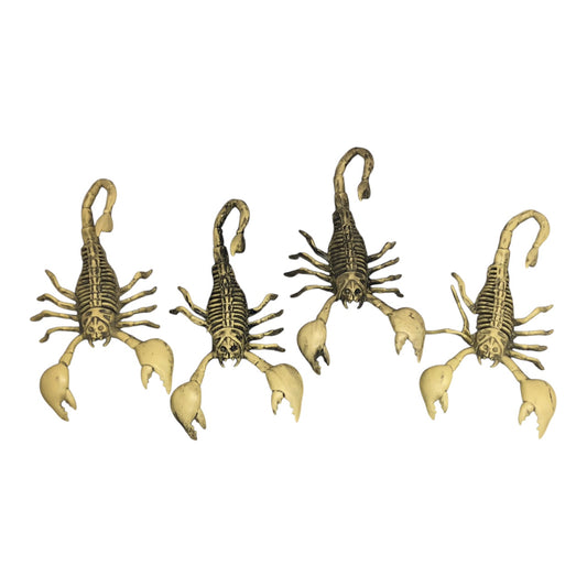 2650 - Set Of 4 9-Inch Scorpion Skeleton |Pod 1-2|