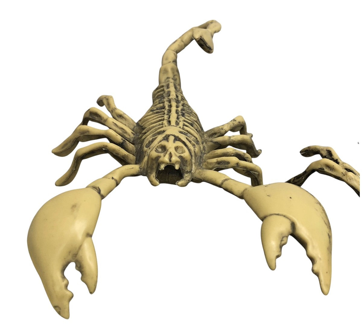 2650 - Set Of 4 9-Inch Scorpion Skeleton |Pod 1-2|