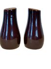 31925 - Elegant 3.5 Inch Norway Brown Bottle Shaped Salt and Pepper Shaker |4-26|