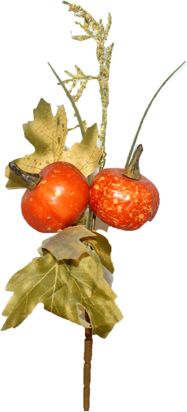 32517 - Pumpkin Pick 11" - |DVD Floor|