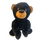 33190 - Great Smokey Mountain Bear Charming Plush Toy from Great Smoky Mountains |H-52|