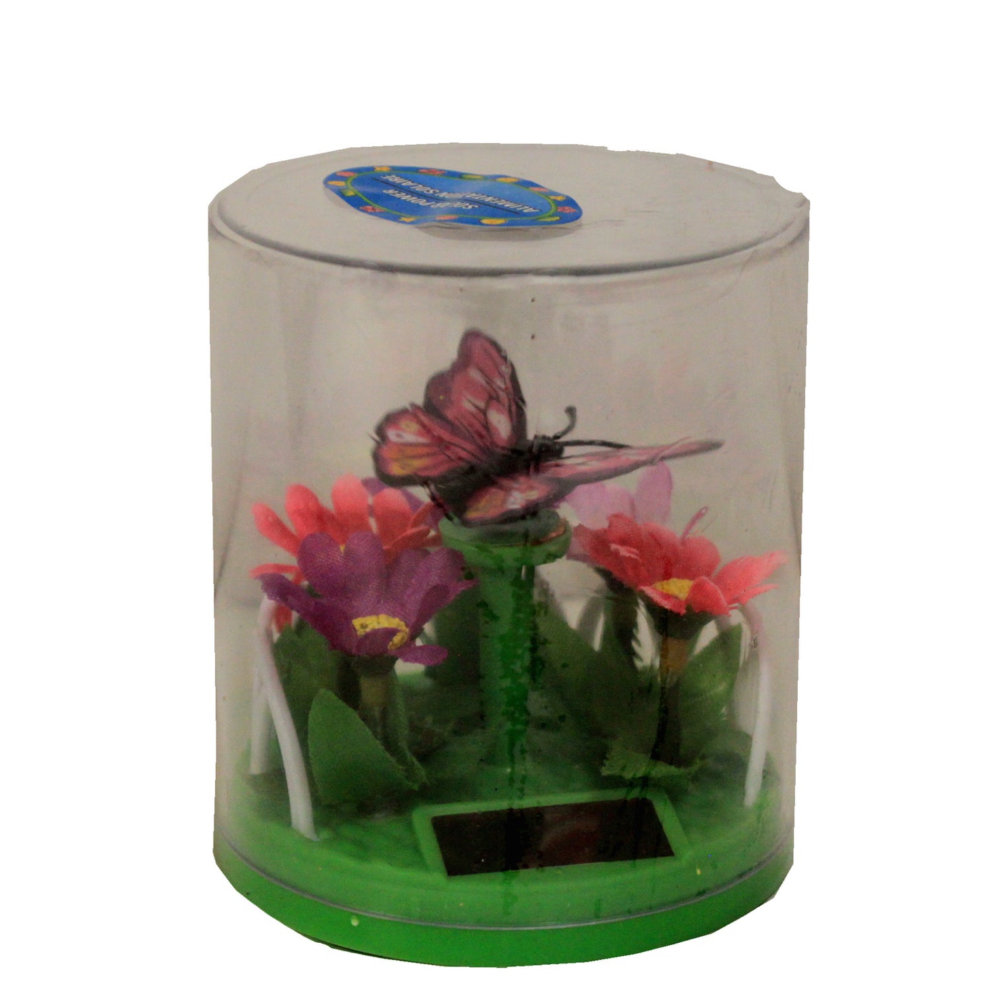 4220 - Solar Power Butterfly Daisies - |R-73|