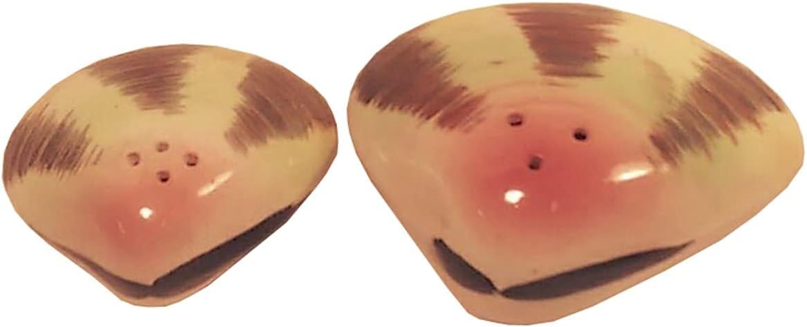 5580 - Clam Shell Salt Pepper Shakers - |DVD-J-1|