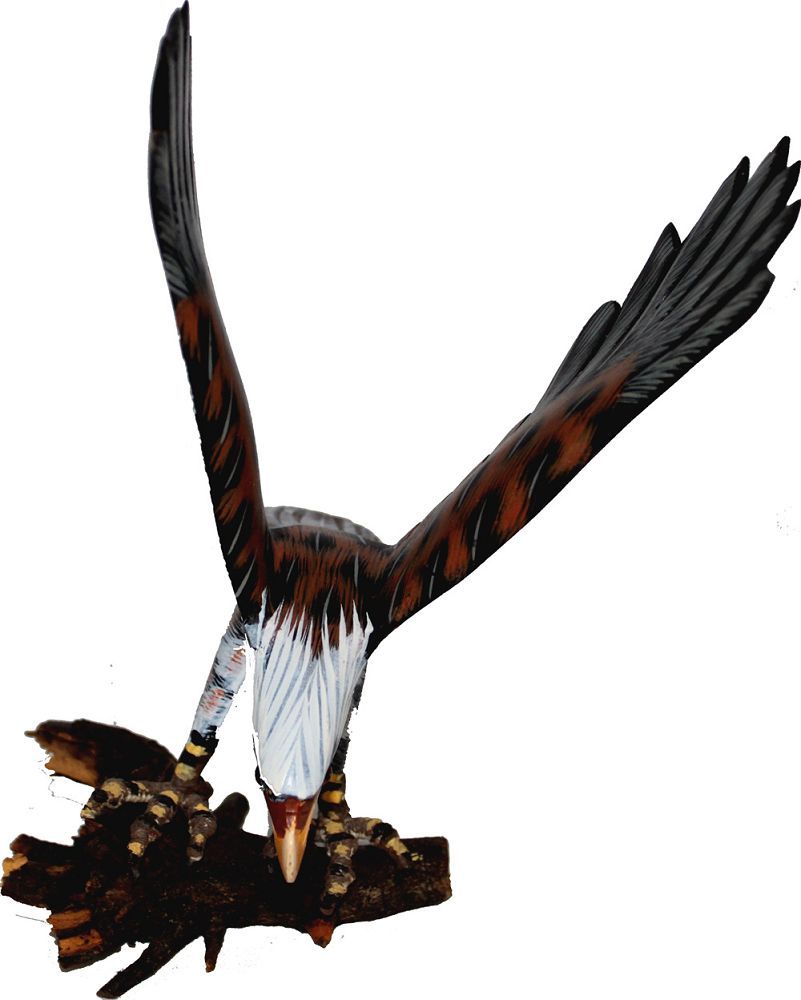 5729 - 7" Color Eagle - Flying Branch - |Z-04|