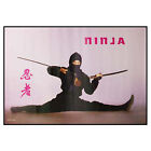 5764 - High-Quality Vintage Art Poster Featuring Ninja Split |Coke Box|