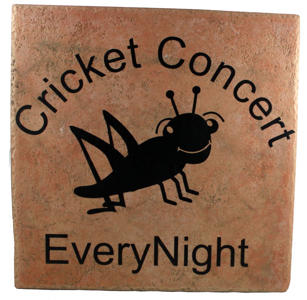 62 - 10x10 Tile Cricket Concert - |AN-7|