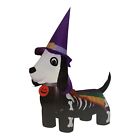 6632 - Inflatable Dog with Witch Hat - |GR-25|
