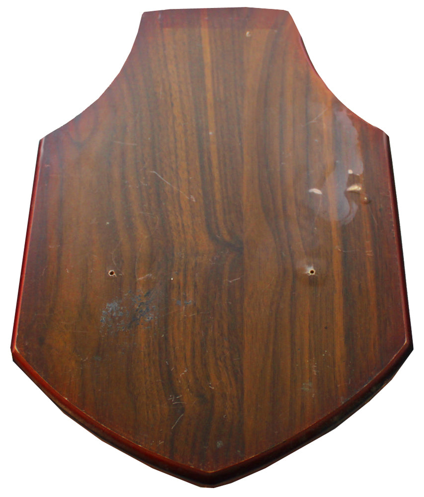 7771 - 14" x 9.5" Brown Sword Plaque - |28-C Down|