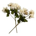 8380 - 2 pk Cream Color Fall Floral - |BH Hall|