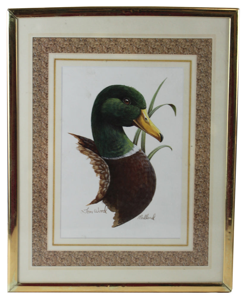 8596 - Tom Wood Mallard Framed 8 x 10 Print |16-21|