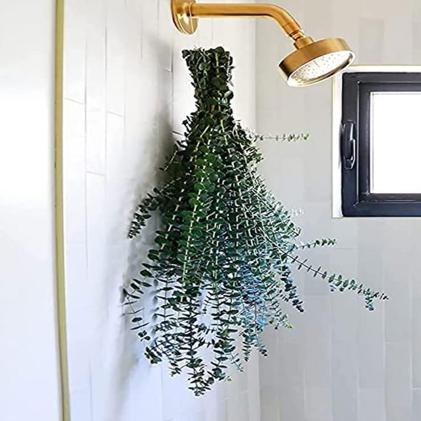 8651 13 Eucalyptus Shower Hanging Decor Spa Bath |FR-2|