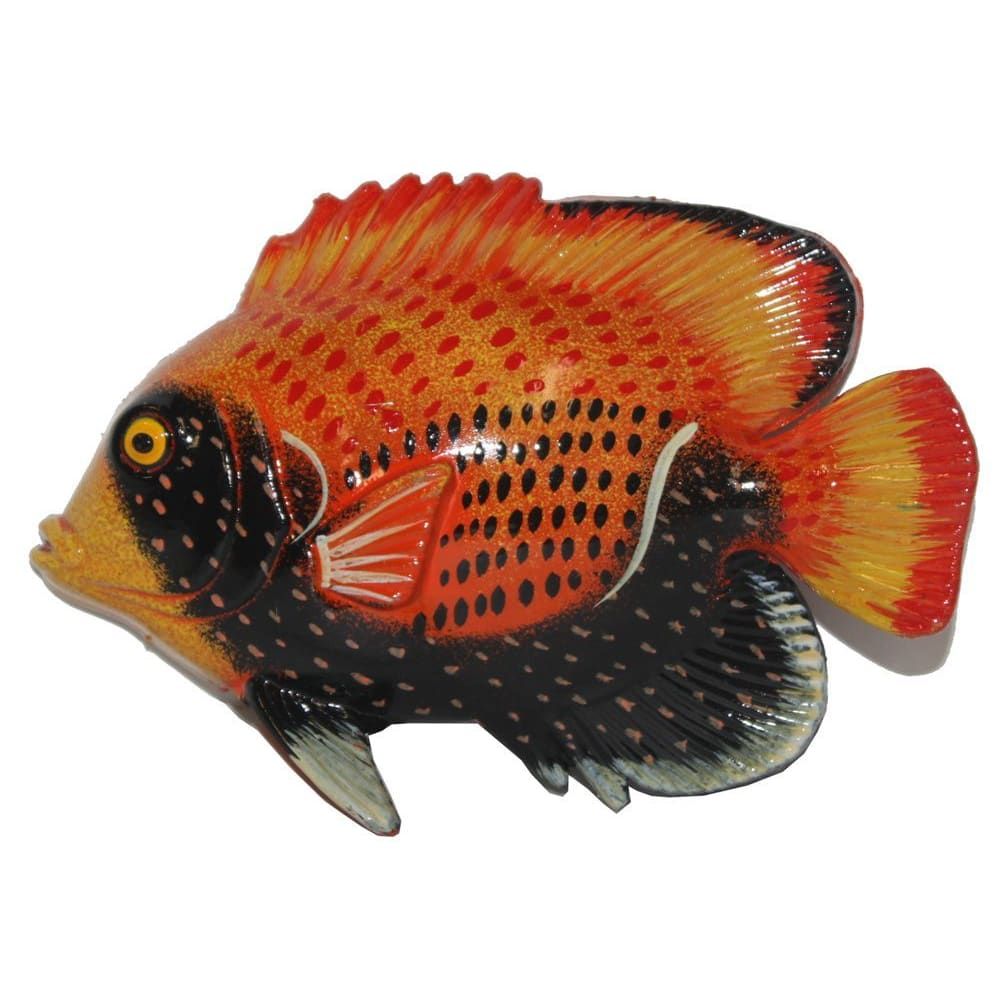 939 - Grouper Fish Fridge Magnet - |A-15|