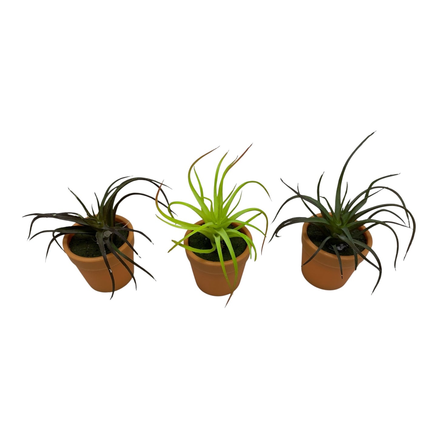 36831 - Set of Three 3.5" Faux Spider Plant in Pot |TBD|