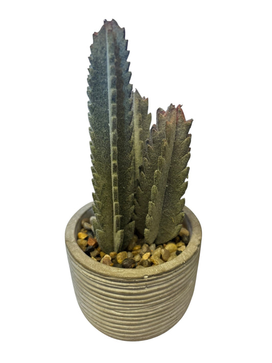 26159 - 8" Artificial Green Saguaro Cactus |12-25|