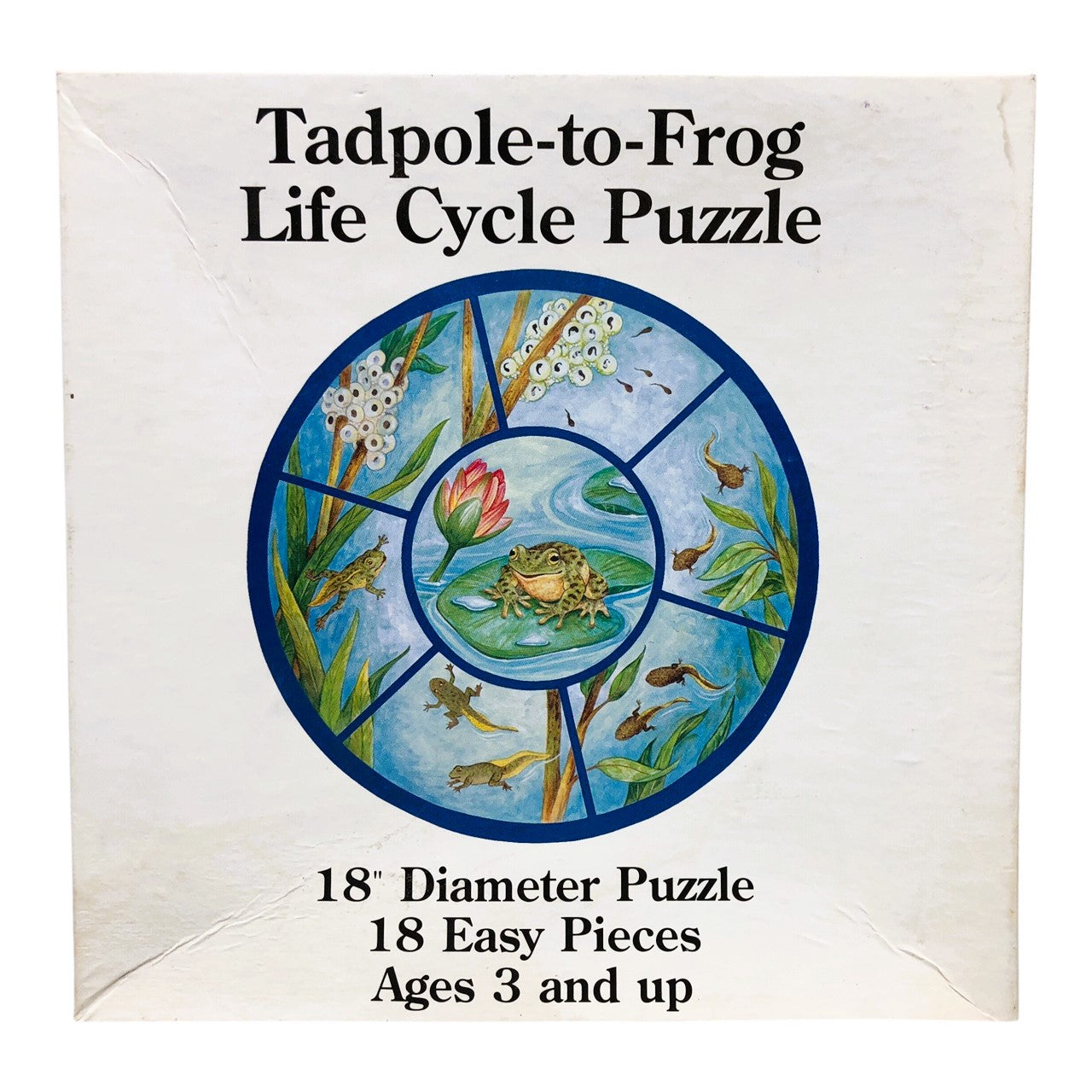 20178 - Tadpole To Frog Life Very Good Puzzle Cycle |GR-17|