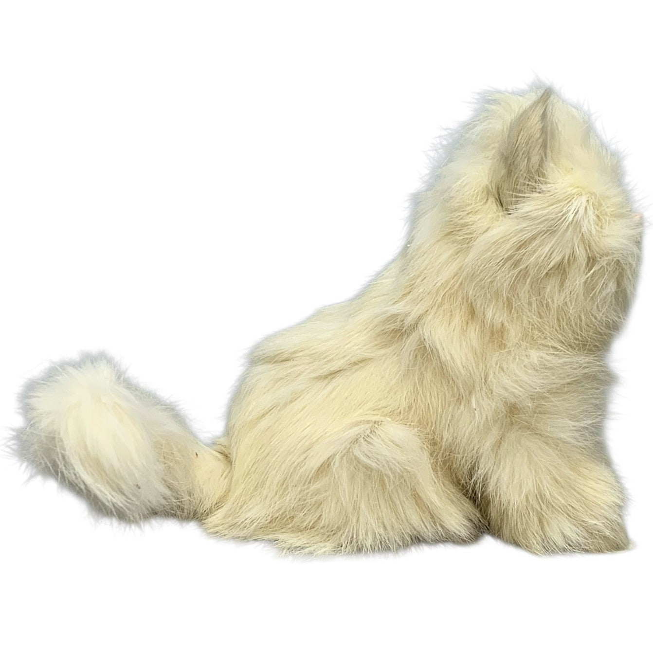 3010 - 5" White Fur Cat |Z-30|