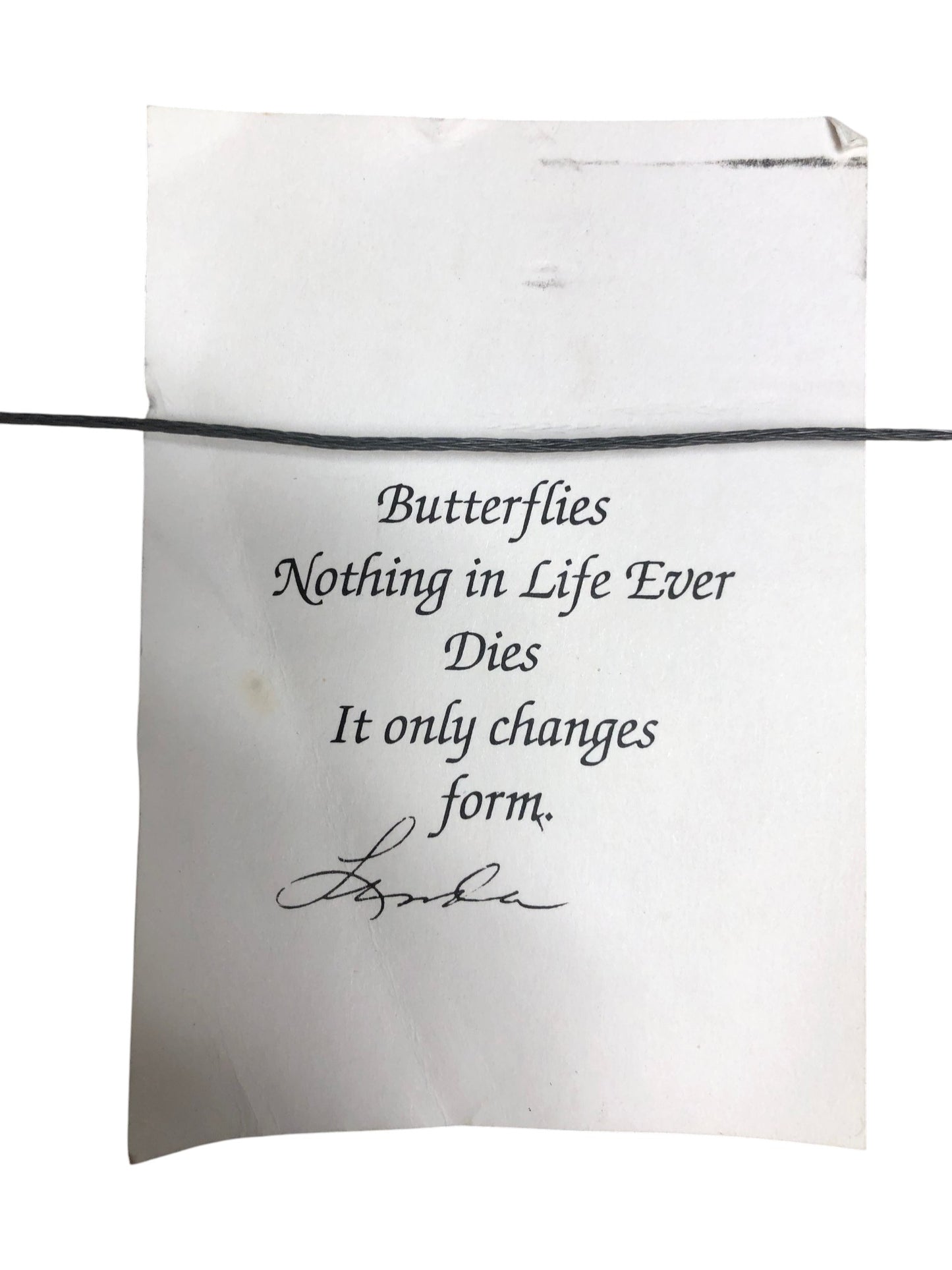 9456 - Linda Schafer Butterflies Print |16-21|