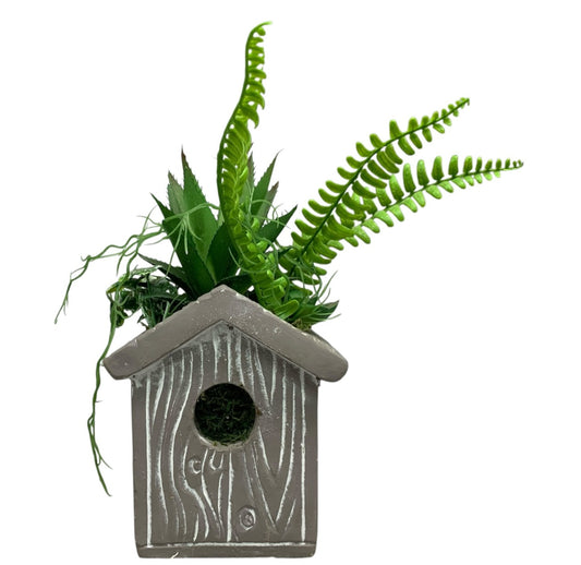 26144 - 7" Grey Bird House Succulent |19-23|