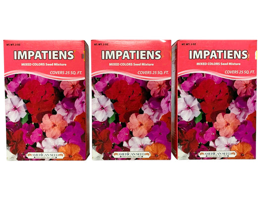 36130 - Set of Three 4x6" Boxes Impatiens Mixed Color Seed Mix Covers 75 Sq Feet |TBD|