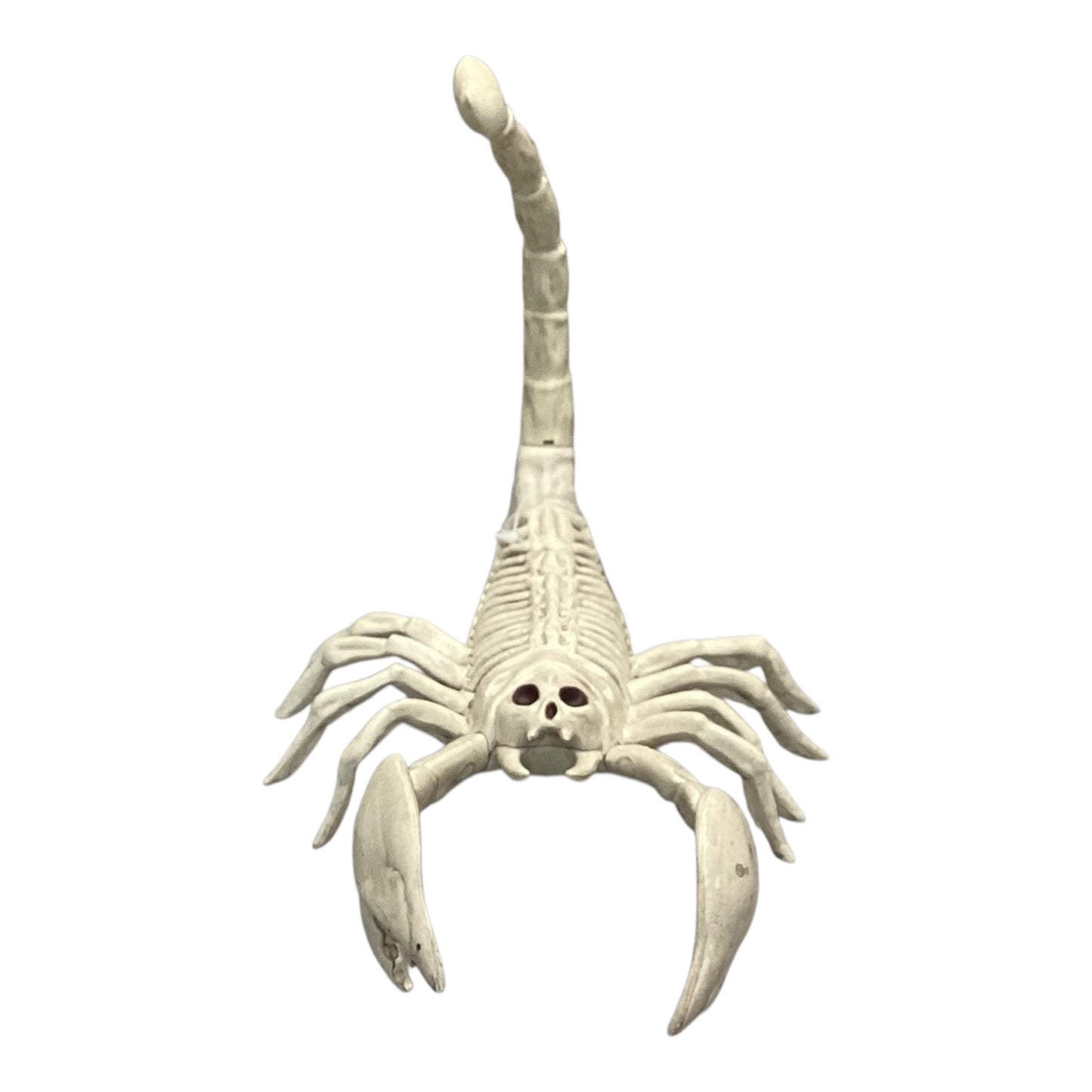 40531 - 14" Scorpion Skeleton |2-14|
