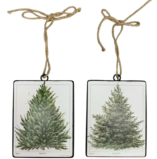 42780 - Pair of Douglas Fir and Balsam Fir 5.5" Ornaments |Pod 2-69|
