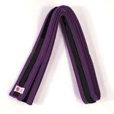 106 - Belt 4 Purple w/Black Stripe - |Belts|