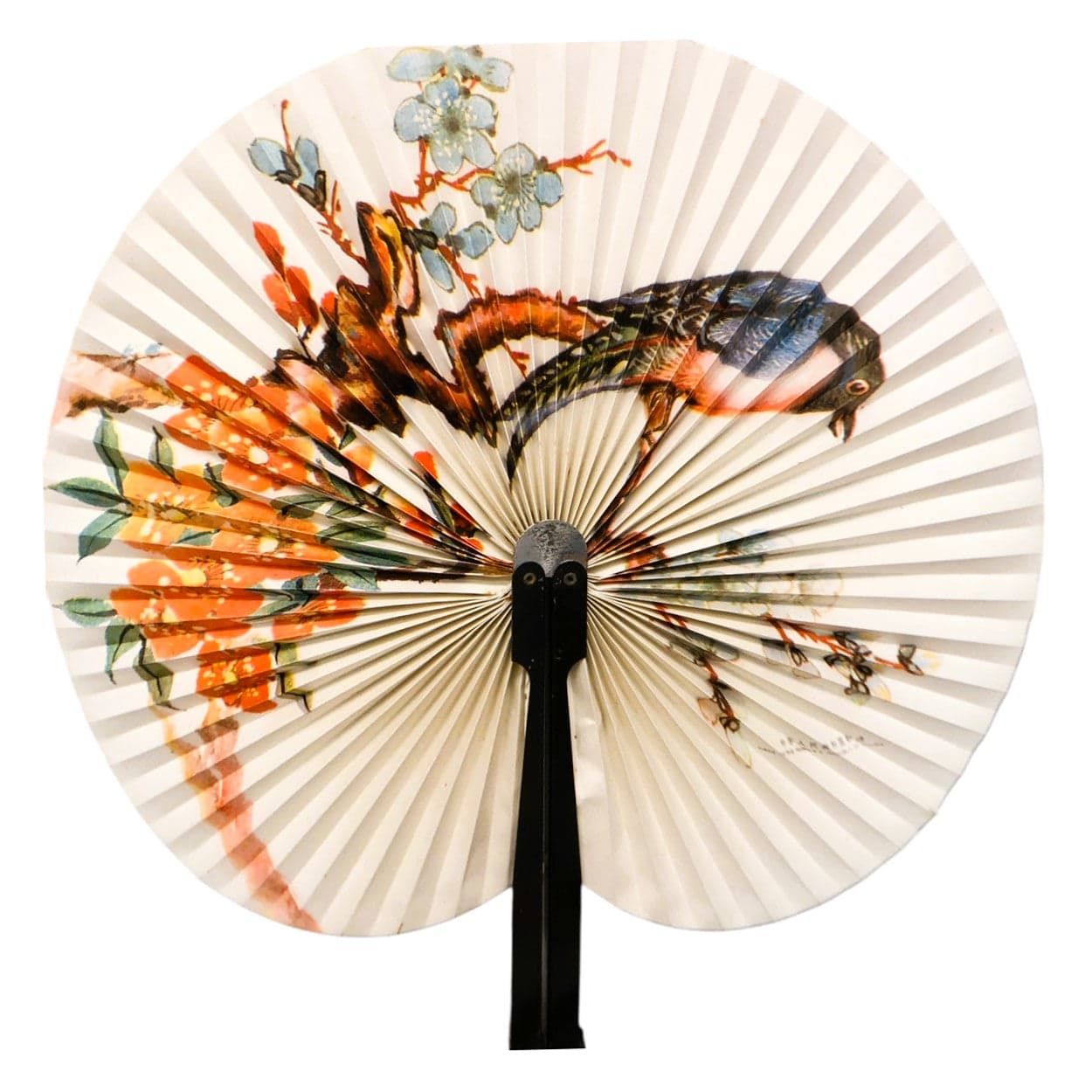 1108 - Set of 6 - 5.5" Black Decorative Fan With 2 Green Birds |25-B|