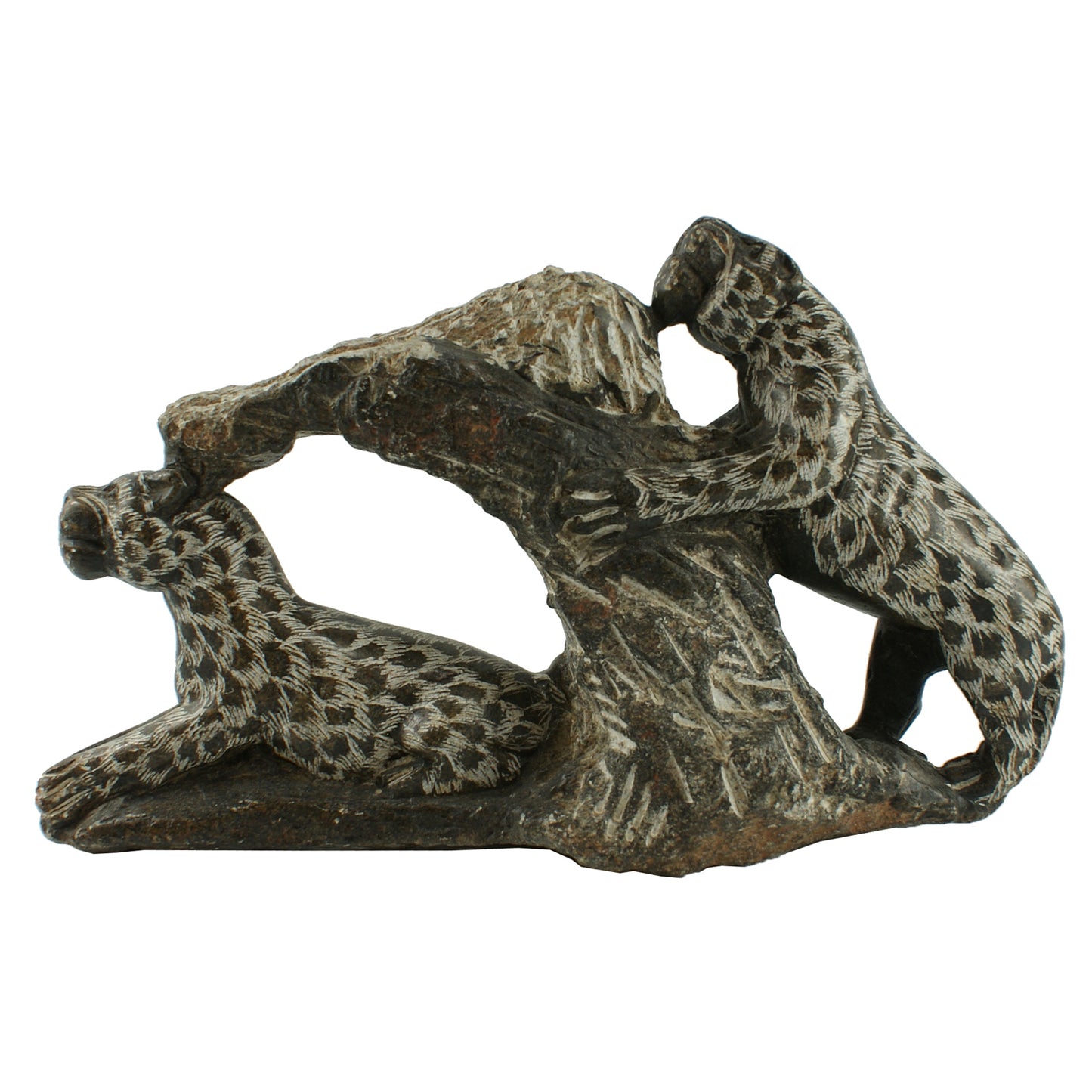 1118 - 11" 2 Grey Stone Cheetahs - |Z-71|