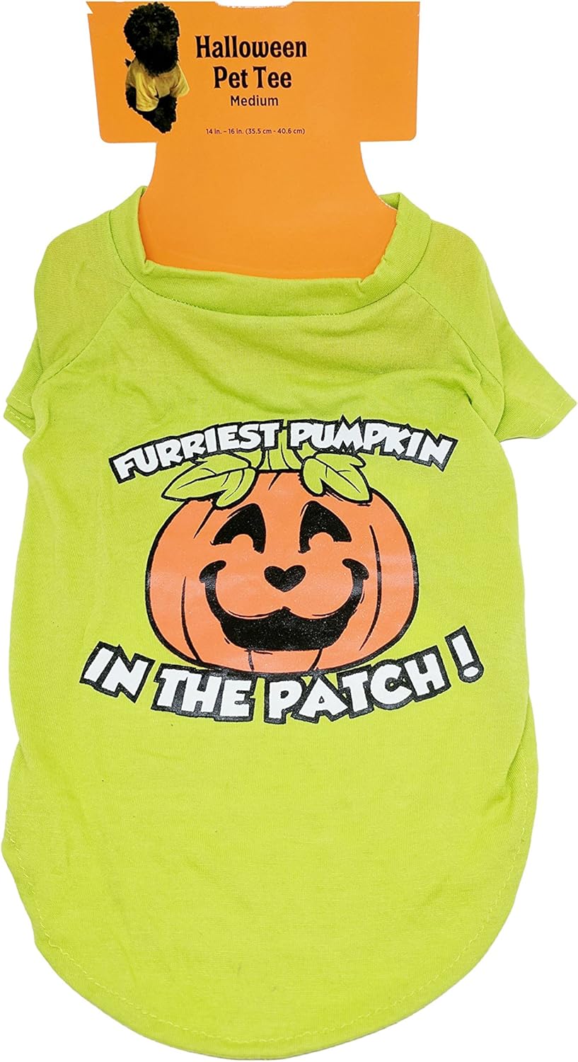 11268 - Furriest Pumpkin Med Dog Tee - [Pod 2-26]