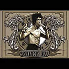 11341 - Authentic Vintage Poster of Circle of Power with Coke Box Design by Bruce Lee |ART|