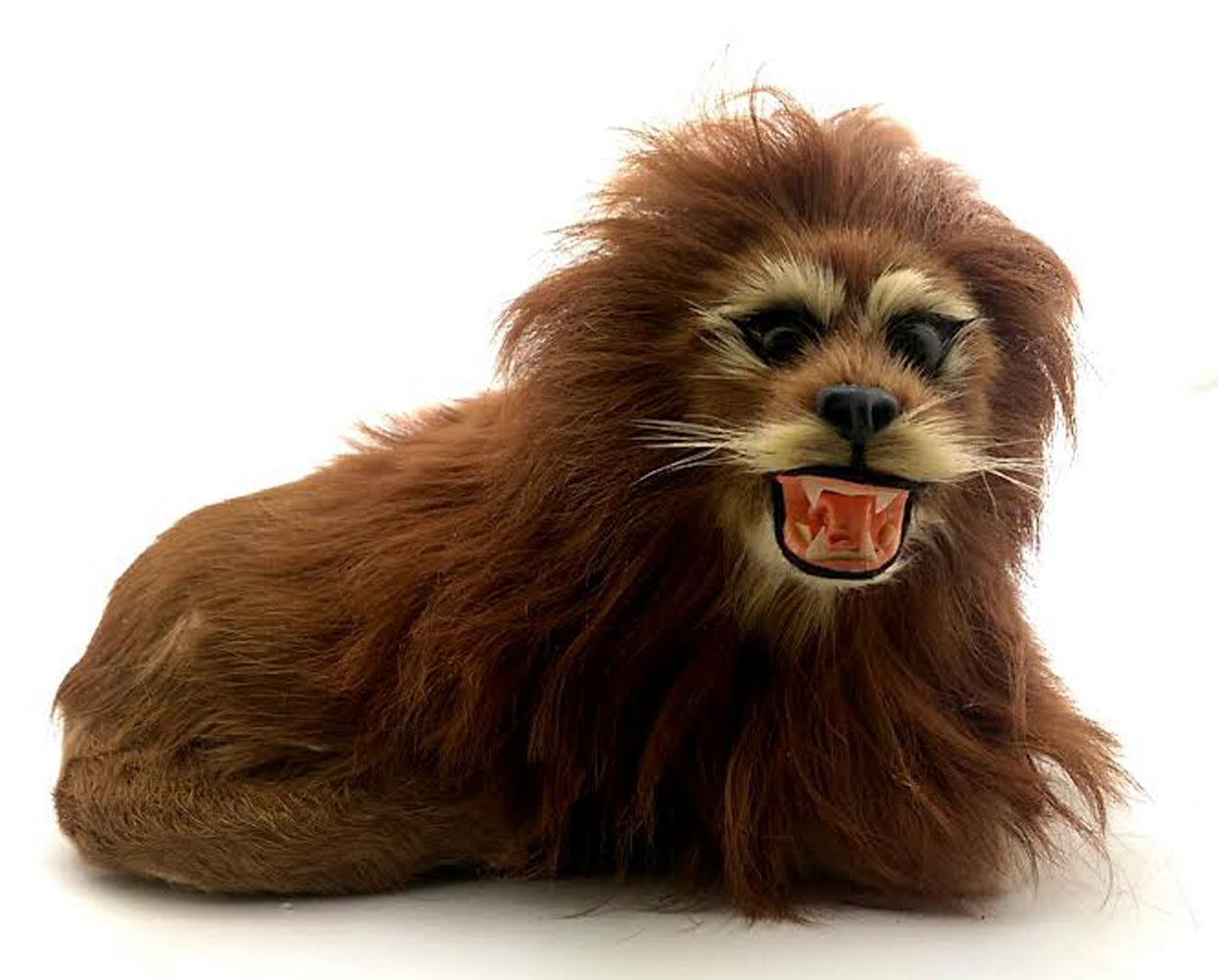 1403 - 5" Brown Fur Lion - Look Right - |Z-16|