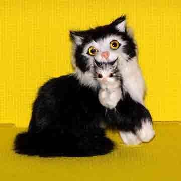 14443 - 5" Black & White Fur Cat Kitten - [Z-34]