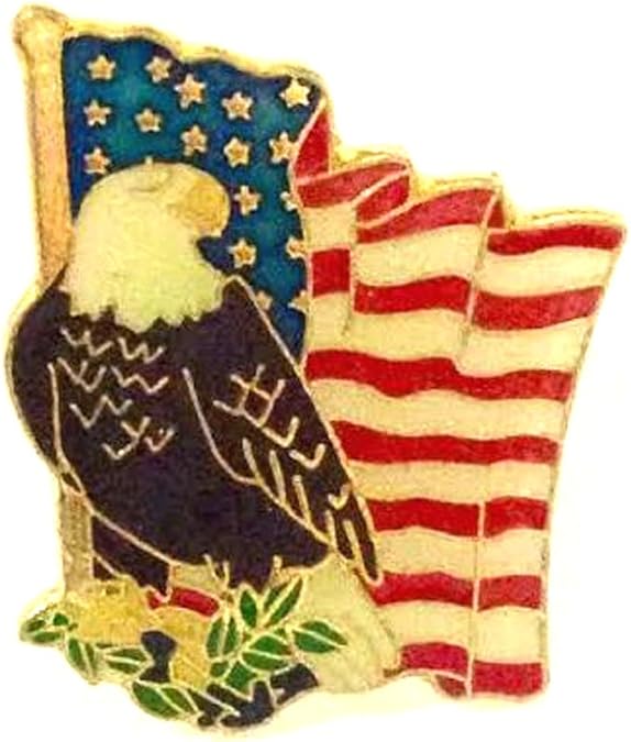 15492 - USA Eagle and Flag Hat Pin - [R-21 Garage]
