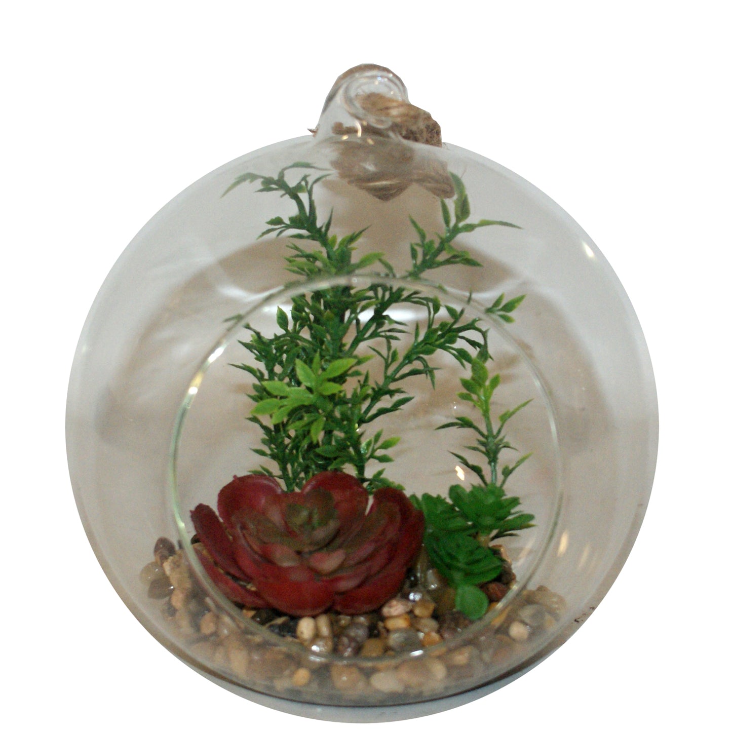 1670 - 6.5" Hanging Succulent Globe #2 - |Pics Shelf|