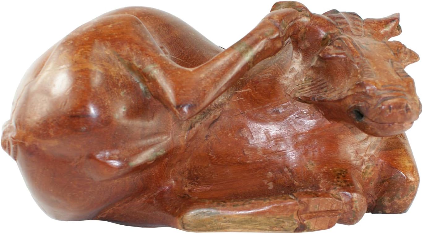 1704 - 11" Brown Warthog - Scratching - |Z-72|