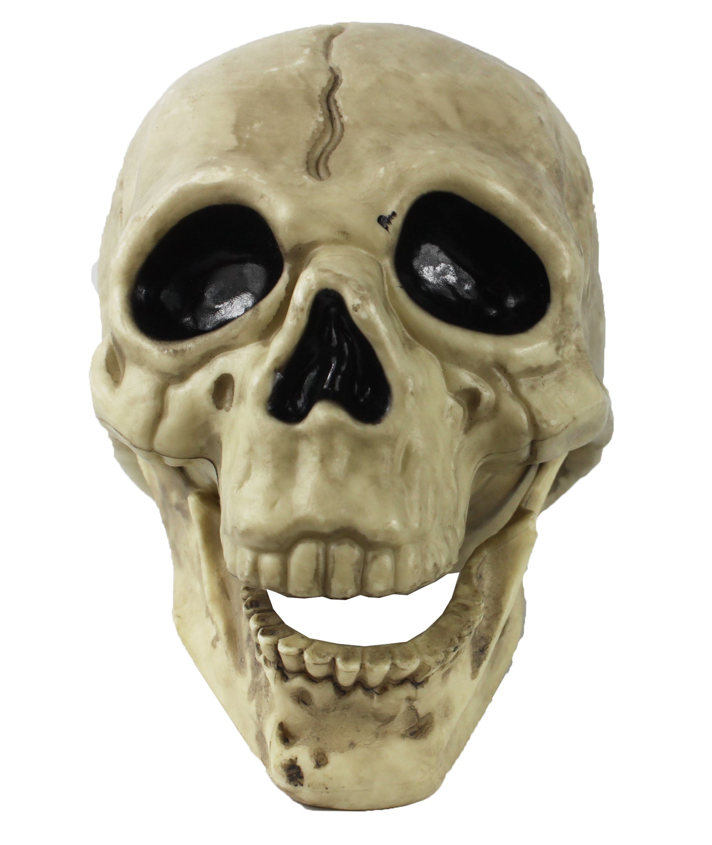 18979 - Spooky Halloween Skull Holiday Decor|Pod 1-10|