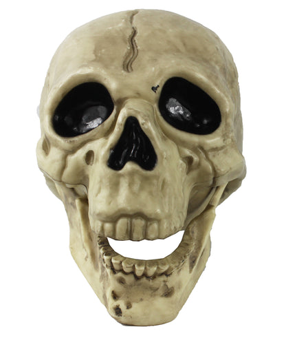 18979 - Spooky Halloween Skull Holiday Decor|Pod 1-10|